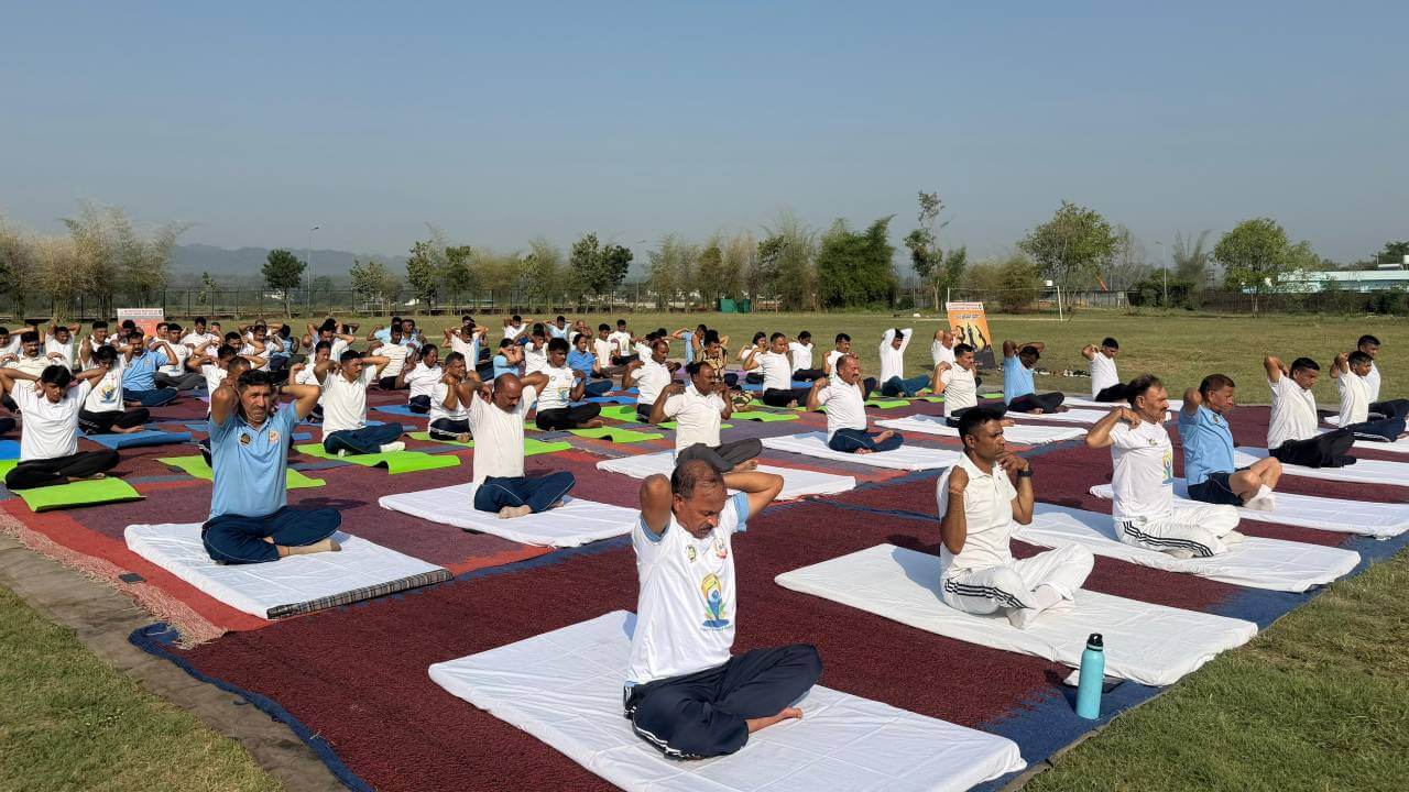 Yoga festival appearance
